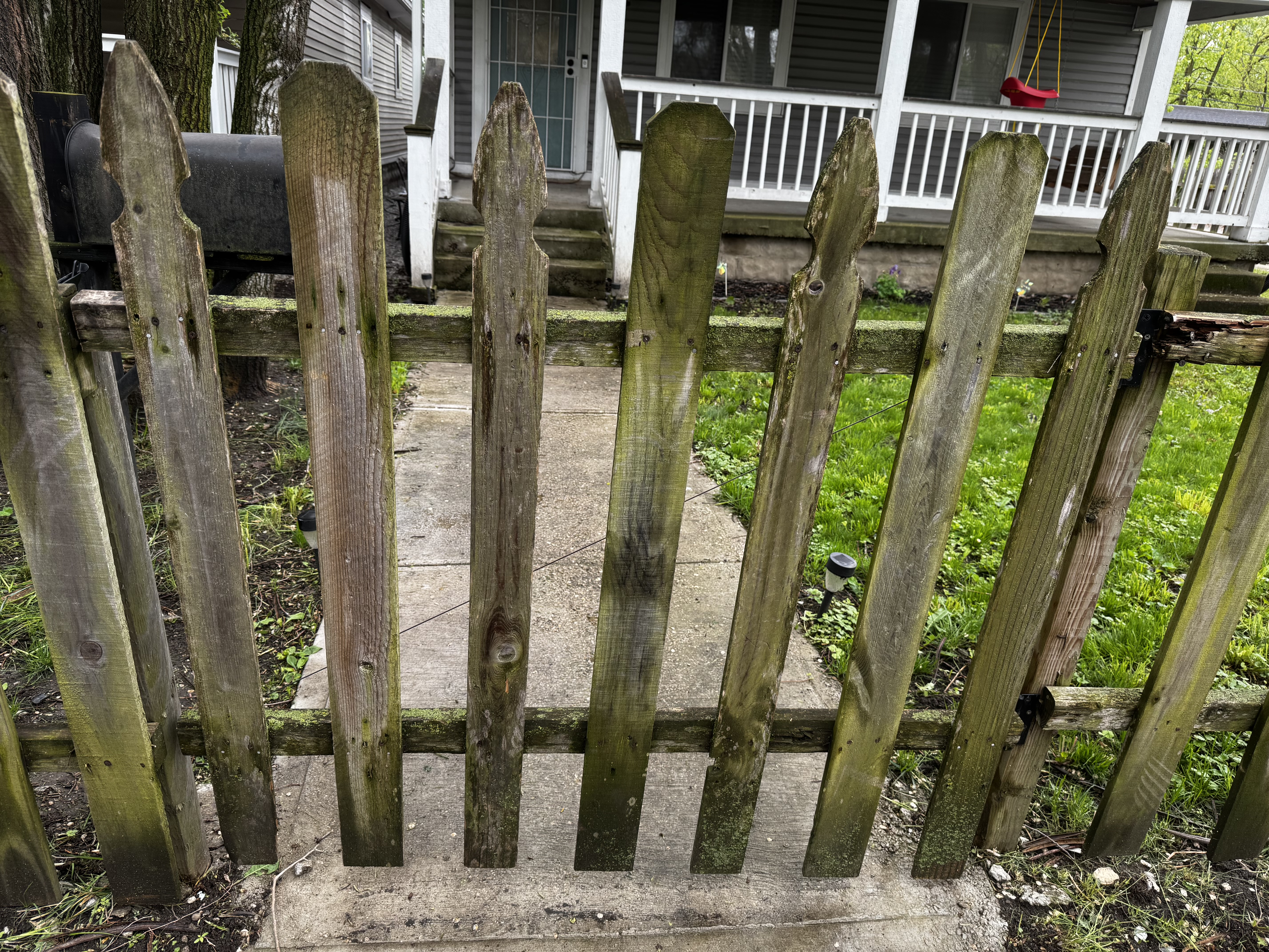 Fence before cleaning